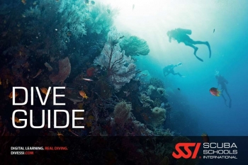 Formation Divemaster fran&ccedil;aise &agrave; Koh Tao