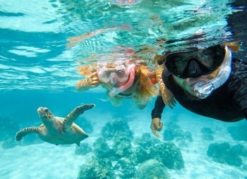 aquatao : snorkeling koh tao