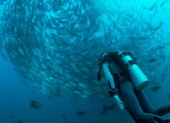Tanote Bay site de plong&eacute;e Koh Tao