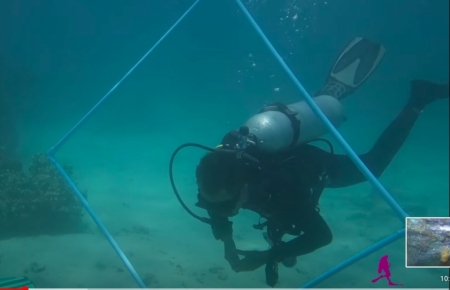 Exercice flottabilit&eacute; AquaTao Koh Tao