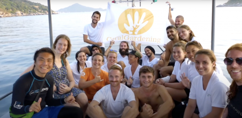 AquaTao & Coral Gardening